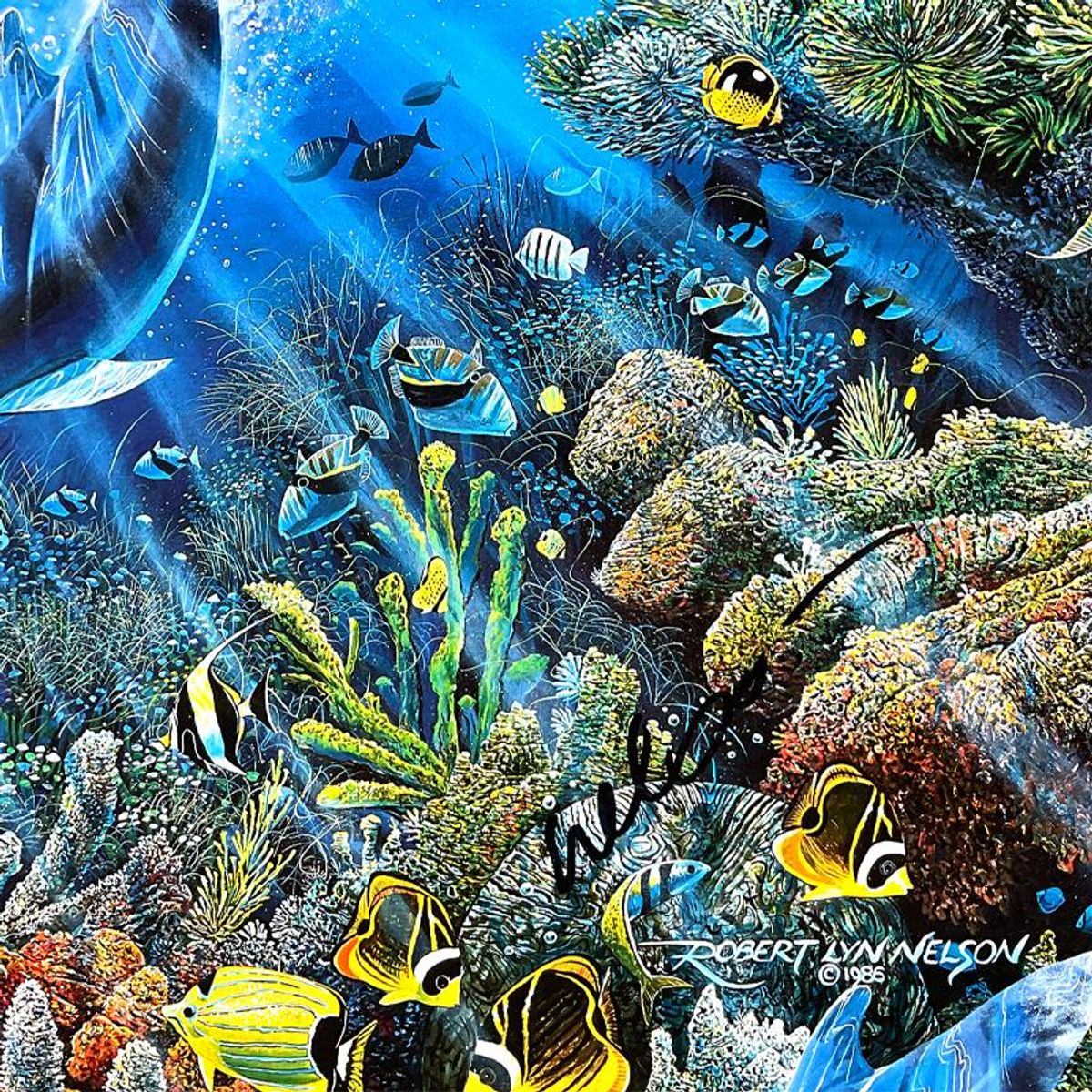 Robert Lyn Nelson, "Glisten of Na Pali" Hand Signed Poster
