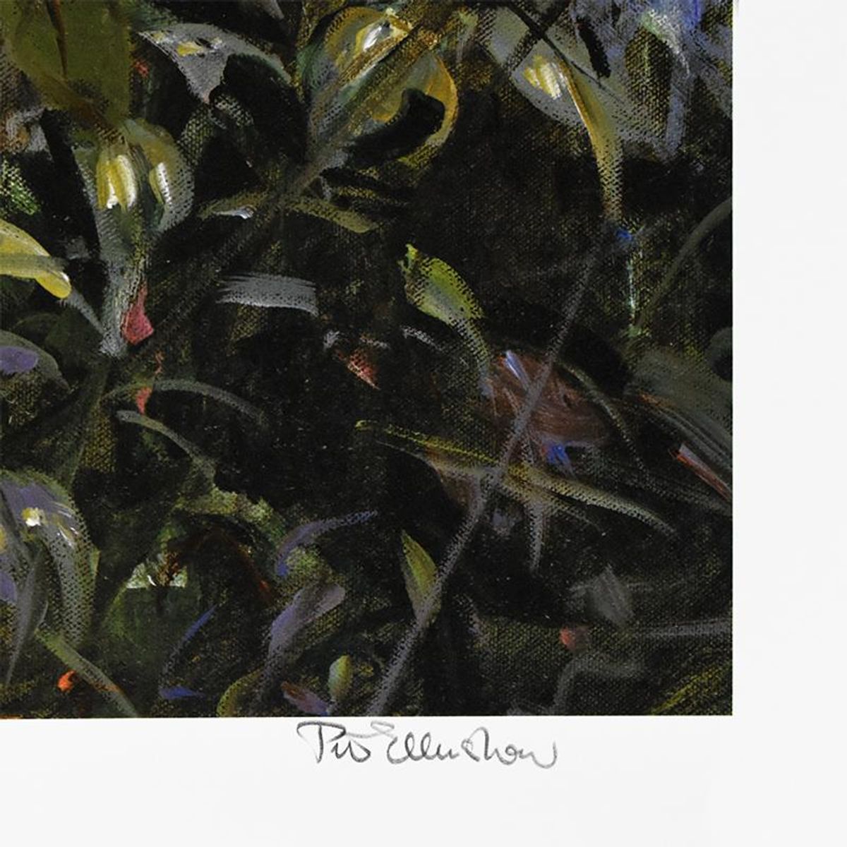 Peter Ellenshaw (1913-2007), "Autumn Roses" Limited Edition Lithograph, Numbered and Hand Signed with Letter of Authenticity.