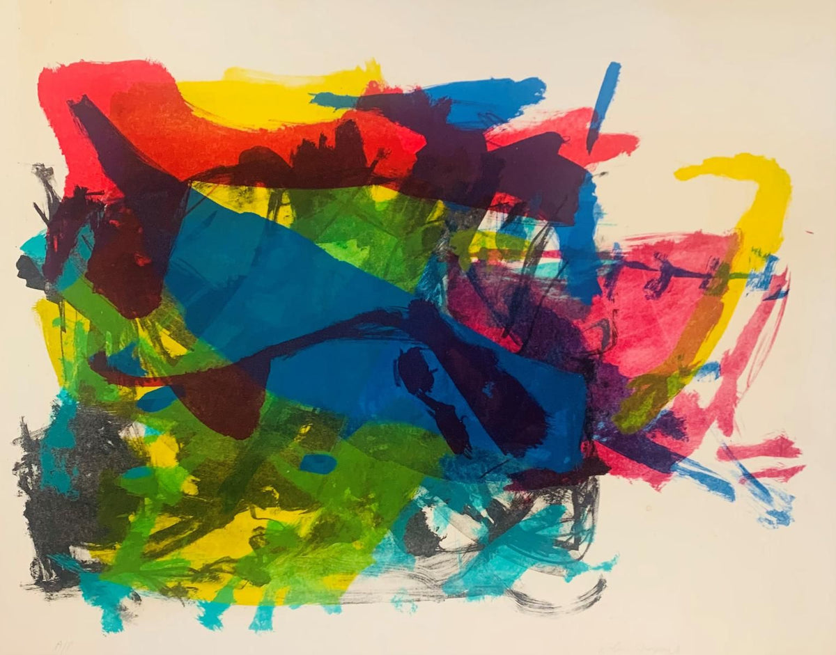 Robin Shapiro- Limited edition lithograph on paper