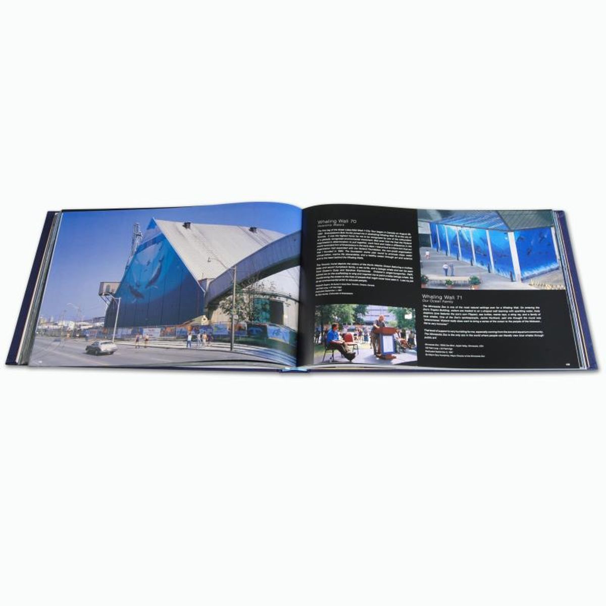 Wyland, "100 Whaling Walls" (2008) Limited Edition Collector's Fine Art Book by World-Renowned Artist Wyland. Comes with One of the Actual Paint Brushes Used to Paint The Whaling Wall