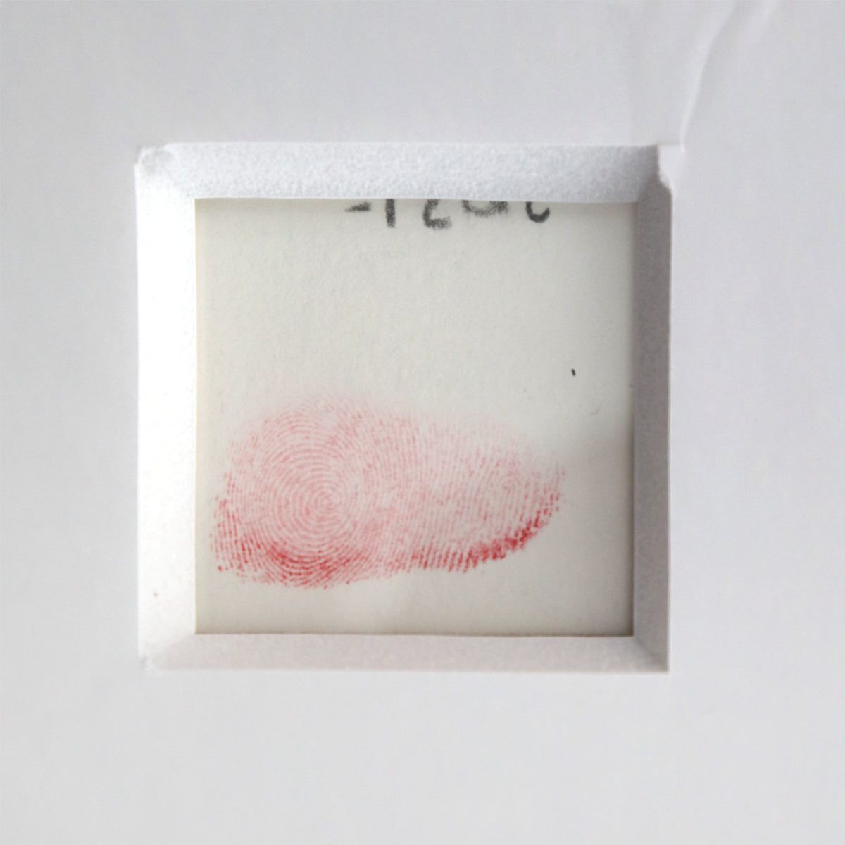 Mr Brainwash- Silkcreen on Paper "Flowarh$ - II (D), 2021"