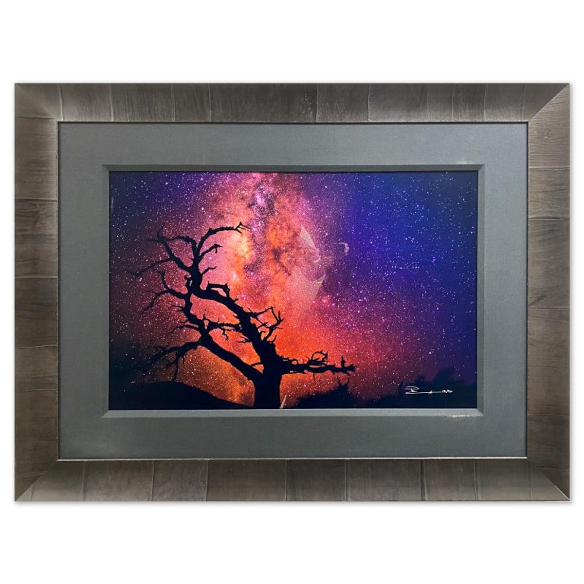 Peter Lik, "Tree of the Universe" Framed Limited Edition Photograph, Numbered 282/950 and Hand Signed with Letter of Authenticity.