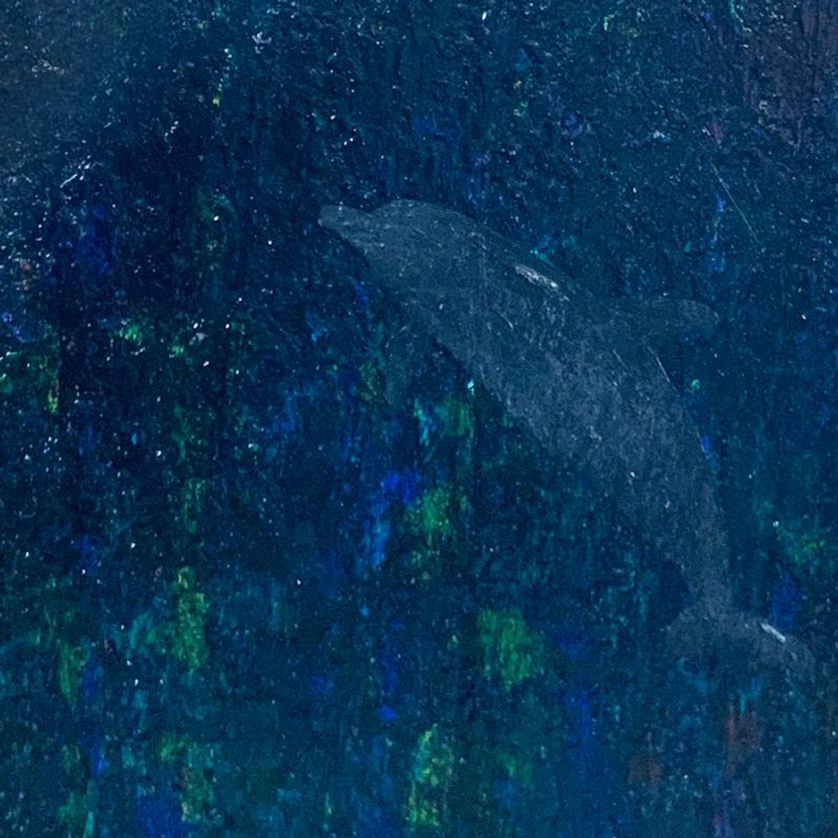 Wyland, Hand Signed Original Painting with Letter of Authenticity.